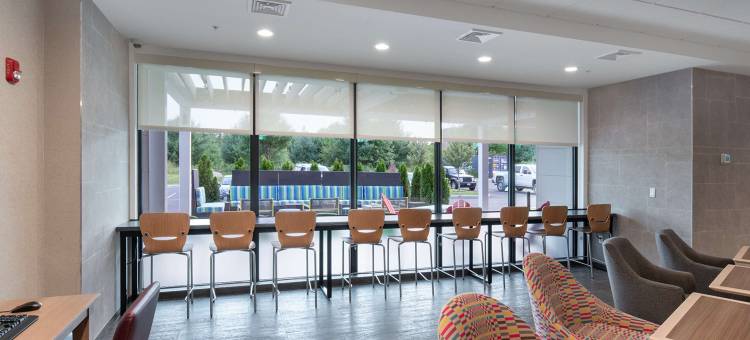 雷纳姆/马萨诸塞汤顿希尔顿惠庭酒店(Home2 Suites by Hilton Raynham Taunton)图片