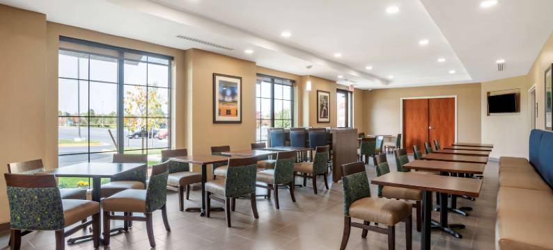 舒适套房酒店(Comfort Inn & Suites)图片