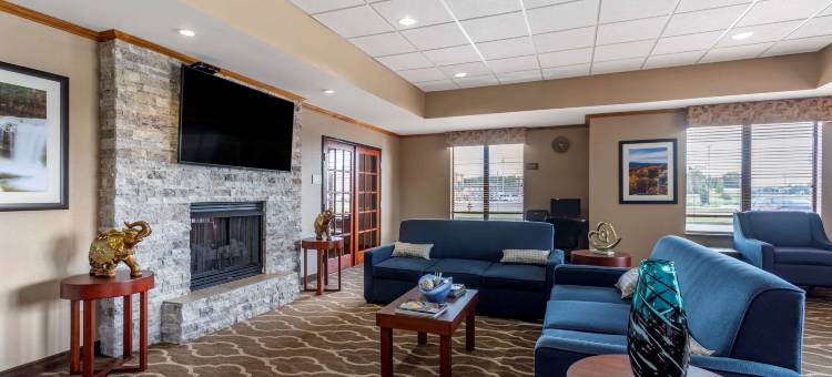 卡尔德本大学区舒适套房酒店(Comfort Inn & Suites Carbondale University Area)图片