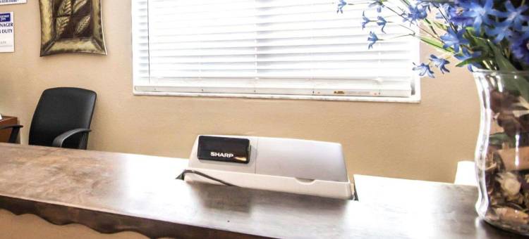 罗德威酒店阿波普卡南部(Rodeway Inn Apopka South)图片