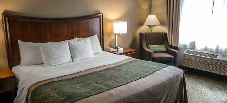 舒适酒店(Quality Inn & Suites)图片