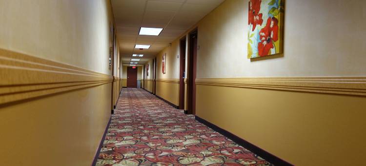 萨克拉门托华美达酒店(Ramada by Wyndham Sacramento)图片