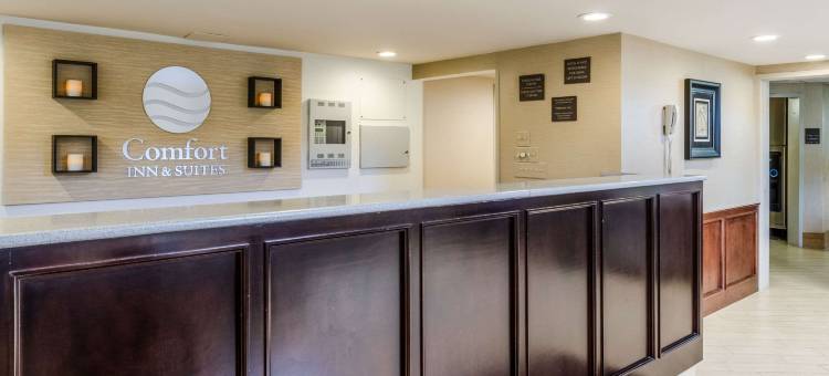 舒适套房酒店(Comfort Inn & Suites)图片