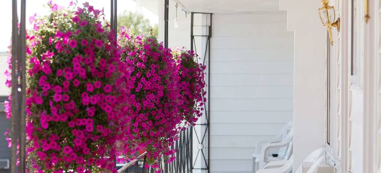 乔治湖温德姆呗盟酒店(Baymont by Wyndham Lake George)图片