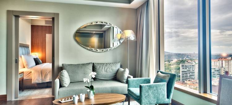 伊斯坦布尔博斯普鲁斯海峡万丽酒店(Renaissance Istanbul Polat Bosphorus Hotel)图片