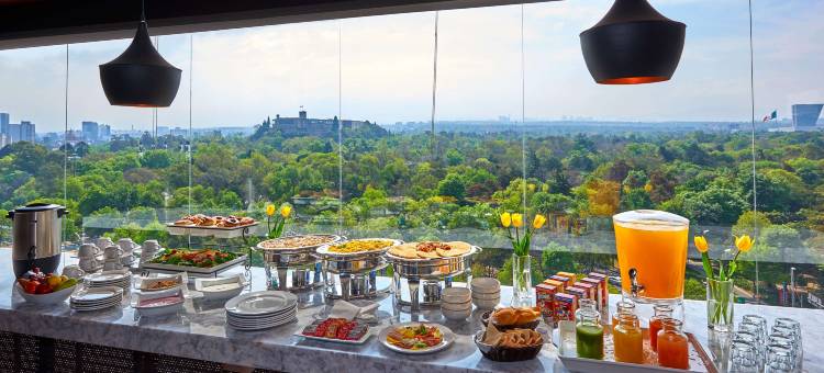 墨西哥城波朗科温德姆花园酒店(Wyndham Garden Mexico City - Polanco)图片