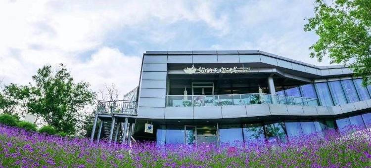 蔚蓝海岸蔚蓝小筑两室洋房民宿(滨海新大道1号分店)图片