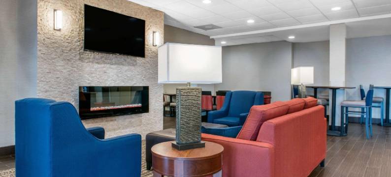 波特舒适套房酒店 - 近印第安纳沙丘(Comfort Inn & Suites Porter Near Indiana Dunes)图片