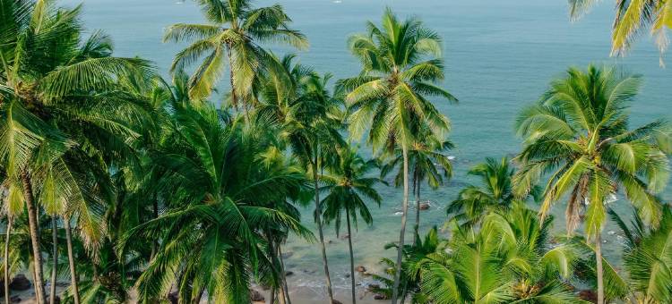 Shambho Retreat图片