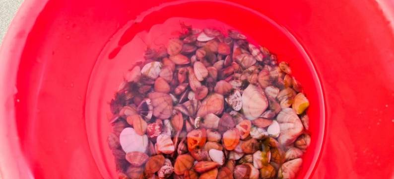 那香海洲际度假公寓(环海路8号分店)图片