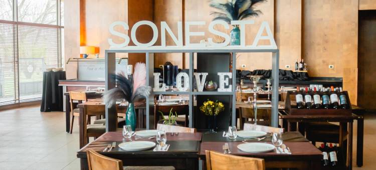 奥索尔诺索尼斯塔酒店(Sonesta Hotel Osorno)图片