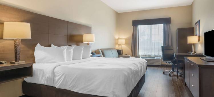 圣约翰贝斯特韦斯特优质套房酒店(Best Western Plus Saint John Hotel  Suites)图片