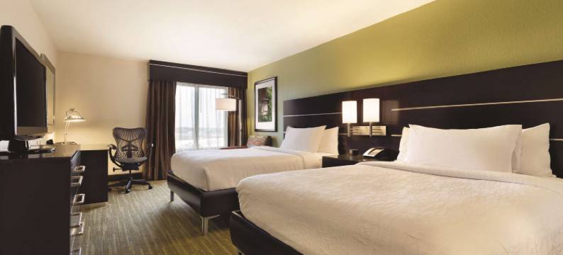 休斯顿西北希尔顿花园酒店(Hilton Garden Inn Houston NW/Willowbrook)图片