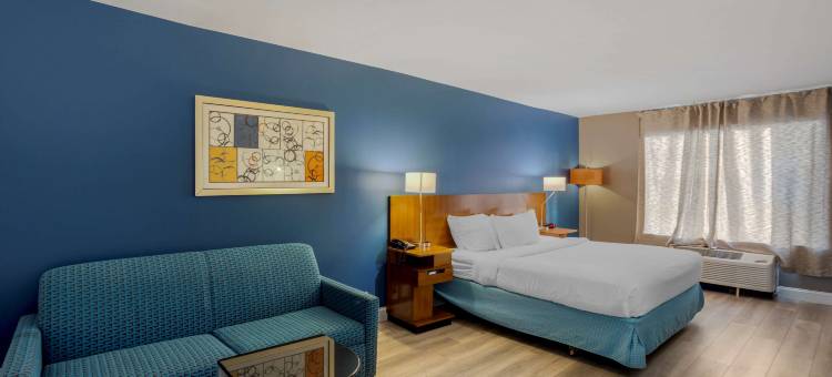 舒适套房酒店-芒特劳雷尔-费城(Comfort Inn & Suites Mt Laurel-Philadelphia)图片