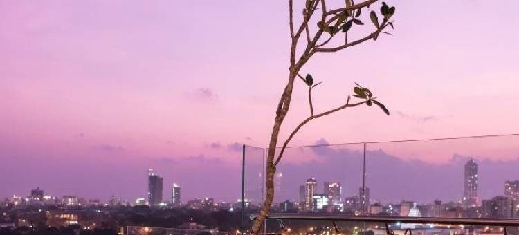 科伦坡杰特威七酒店(Jetwing Colombo Seven)图片