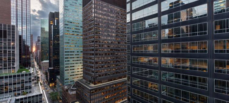 纽约曼哈顿中城东部希尔顿花园酒店(Hilton Garden Inn New York Manhattan Midtown East)图片