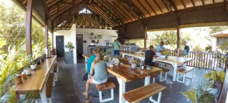 巴厘岛农场旅馆(The Farm Hostel)图片