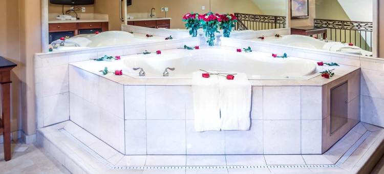 博伊西斯贝克特若姆欢朋套房酒店(Hampton Inn & Suites Boise/Spectrum)图片