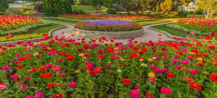 桑德贝北戴斯酒店(Days Inn by Wyndham Thunder Bay North)图片