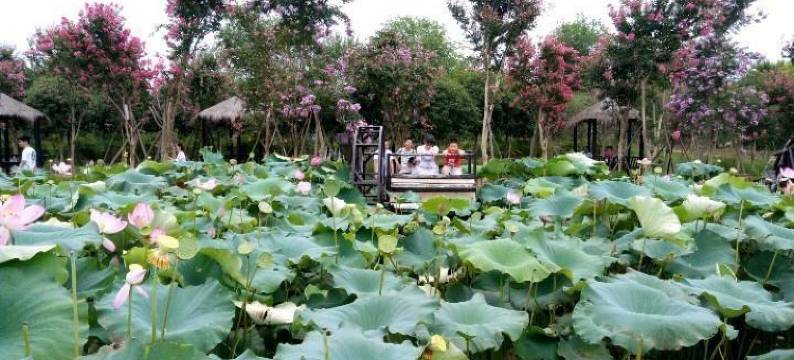 武汉石化招待所图片