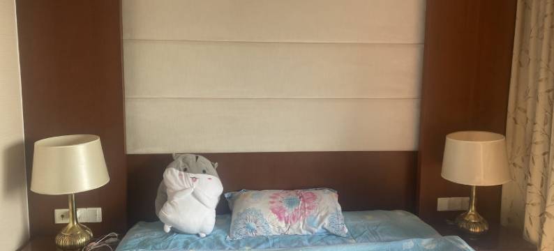 环太湖落地窗大阳台舒适安静ins凤公寓(墅里路分店)图片