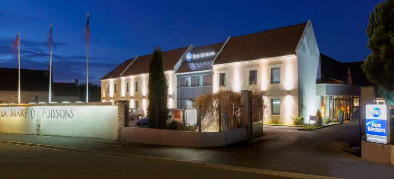 双鱼马雷贝斯特韦斯特酒店(Best Western Hotel la Mare O Poissons)图片