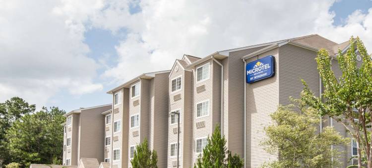 萨拉兰德-北莫比尔麦客达套房酒店(Microtel Inn & Suites by Wyndham Saraland/North Mobile)图片