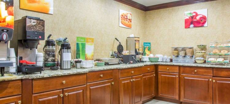 凯艺套房酒店(Quality Inn & Suites)图片