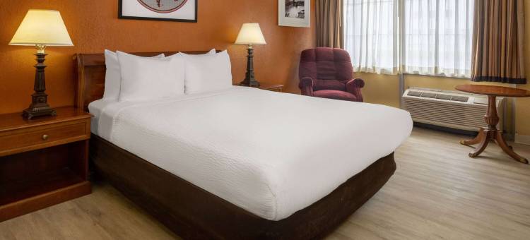 罗马维罗纳温德姆华美达酒店(Ramada by Wyndham Rome/Verona)图片