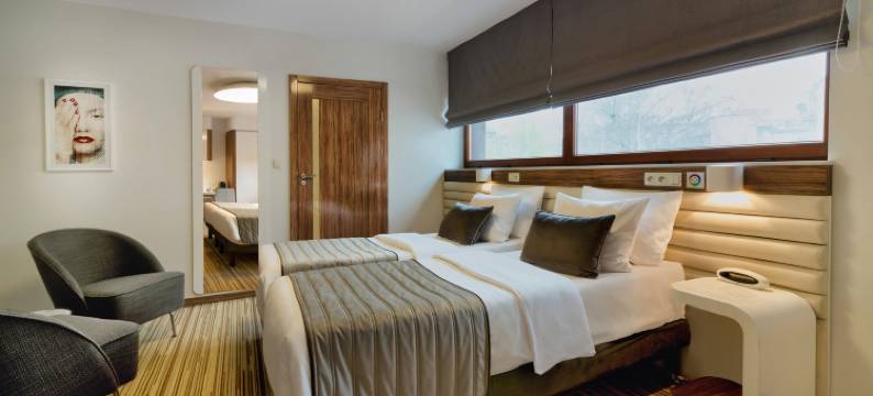 克拉特夫市中心莱昂纳多精品酒店(Leonardo Boutique Hotel Krakow City Center)图片