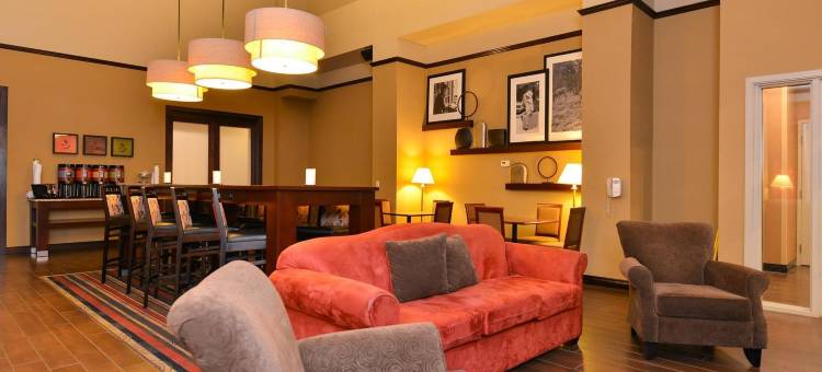 埃德蒙顿国际机场希尔顿欢朋套房酒店(Hampton Inn & Suites by Hilton Edmonton International Airport)图片