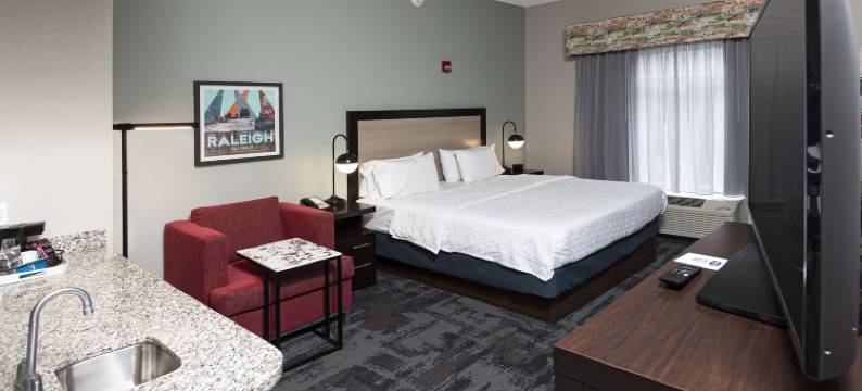 欢朋酒店及套房 - 罗利市中心(Hampton Inn & Suites Raleigh Downtown)图片