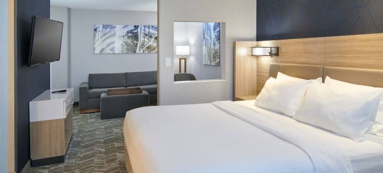 底特律南菲尔德万豪SpringHill酒店(SpringHill Suites Detroit Southfield)图片