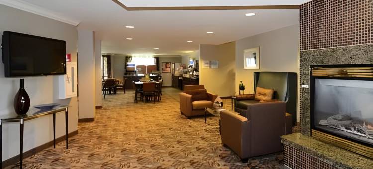 智选假日套房酒店圣克拉拉(Holiday Inn Express & Suites Santa Clara)图片