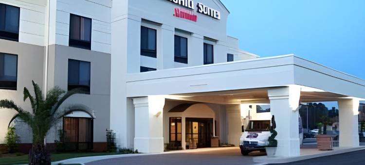 萨凡纳机场万豪SpringHill酒店(SpringHill Suites Savannah Airport)图片