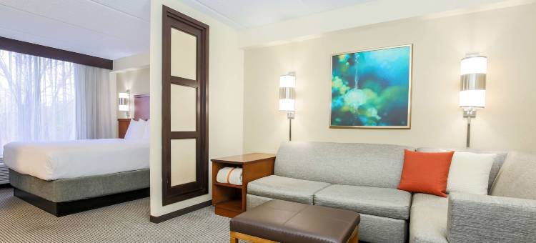 达拉斯/葡萄园凯悦嘉轩酒店(Hyatt Place Dallas Grapevine)图片