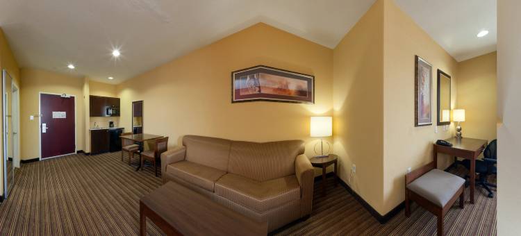 智选假日套房酒店克里夫兰(Holiday Inn Express & Suites Cleveland)图片