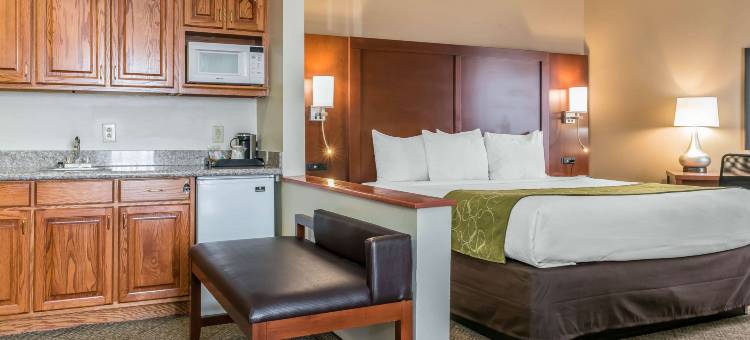 斯普林菲尔德舒适套房酒店(Comfort Suites)图片