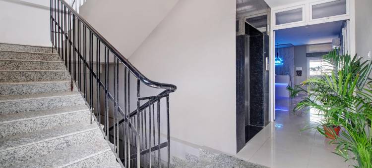 Super Collection O ISBT图片