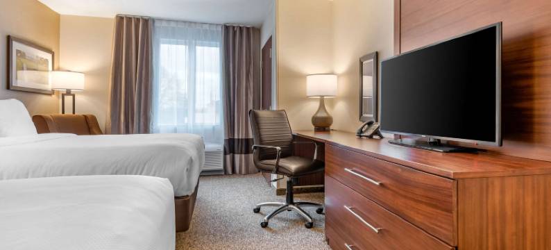 舒适套房酒店(Comfort Inn & Suites)图片