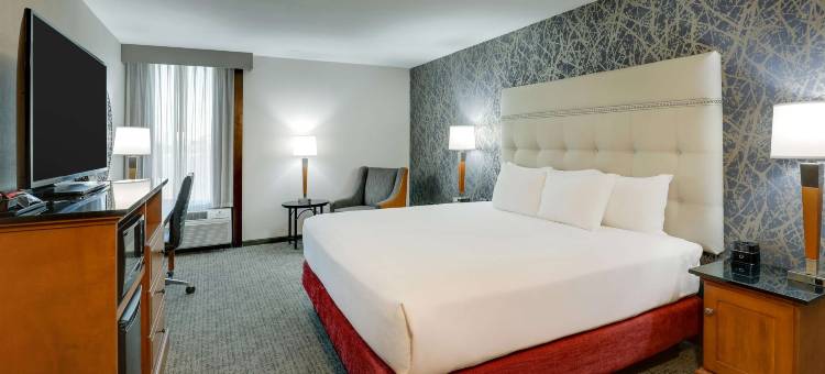 伊利诺伊斯普林菲尔德德鲁里套房酒店(Drury Inn & Suites Springfield)图片