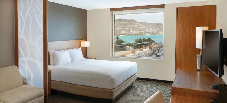 南下加利福尼亚州拉巴斯万怡酒店(Courtyard La Paz Baja California Sur)图片