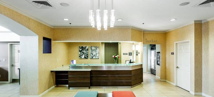 伊斯顿Residence Inn 酒店(Residence Inn Columbus Easton)图片