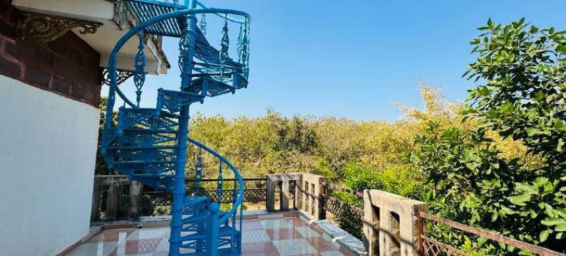 吉尔狮爪带泳池度假村(Gir Lions Paw Resort with Swimming Pool)图片