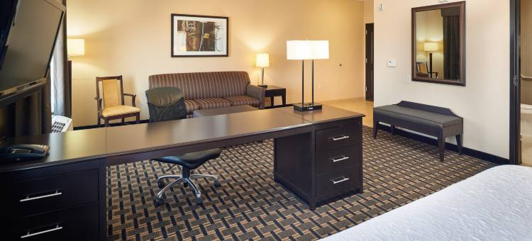 朗维尤北欢朋套房旅馆(Hampton Inn & Suites Longview North)图片