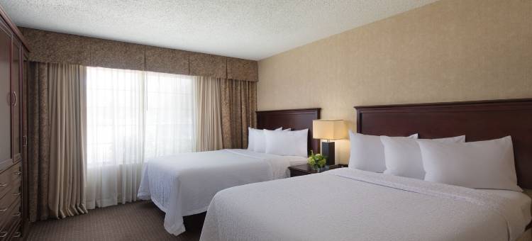 拉伯克希尔顿安泊套房酒店(Embassy Suites by Hilton Lubbock)图片