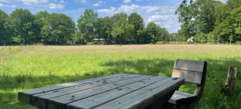 Landgoed Dennenholt - 5 Unique Holiday Homes图片