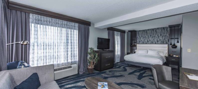 北查尔斯顿会议中心希尔顿逸林酒店(DoubleTree by Hilton North Charleston Convention Center)图片