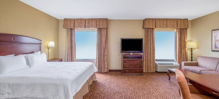 俄克拉何马城欢朋酒店及套房 - 南部(Hampton Inn & Suites Oklahoma City-South)图片