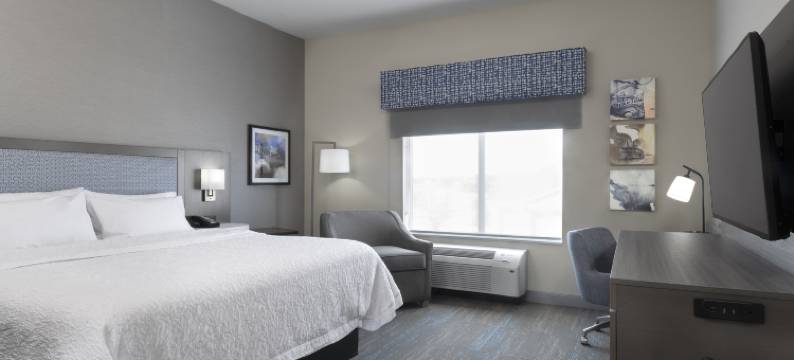 欢朋酒店&套房 - 圣查尔斯老城区(Hampton Inn & Suites St. Charles Old Town Area)图片